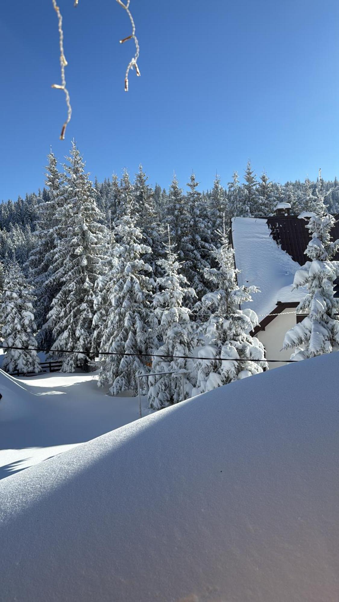 יהורינה Guest House Alpha Ski Camp מראה חיצוני תמונה